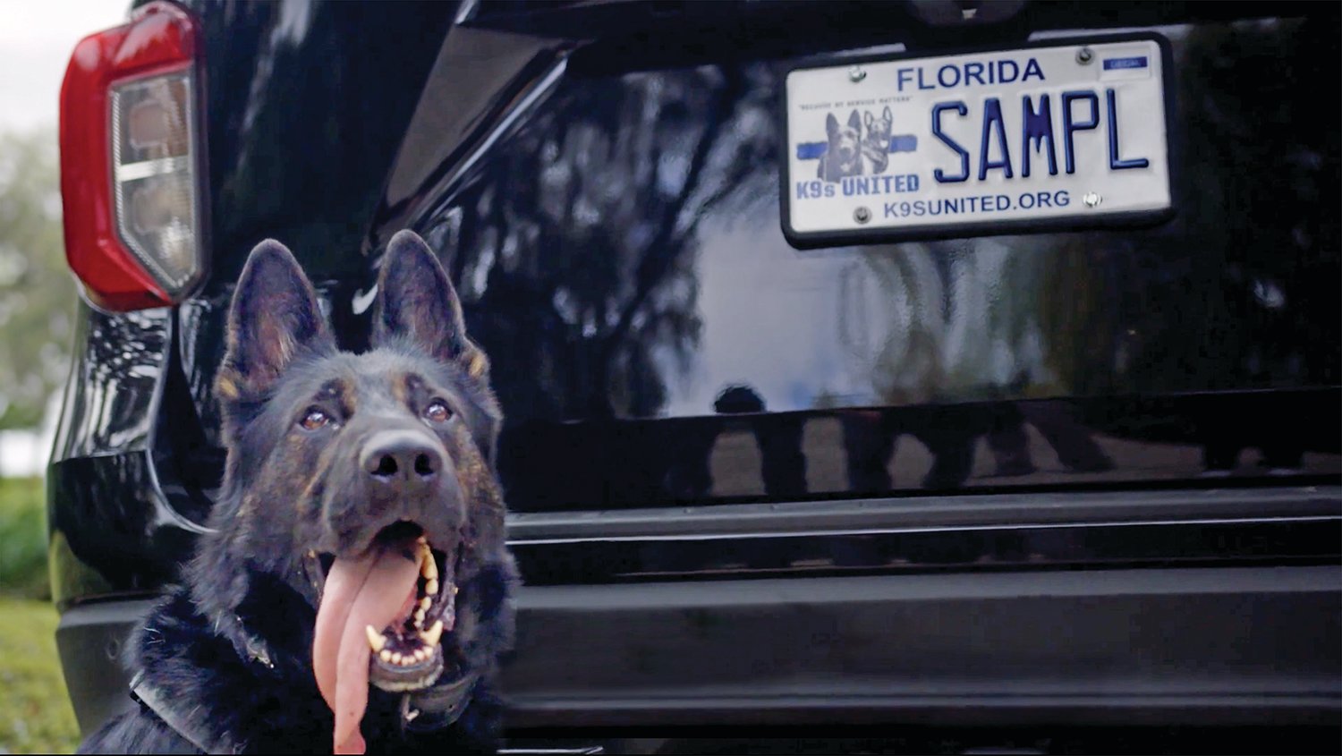 The K9s United specialty license plates can be preordered by Florida residents with active state driver’s licenses for $33 from any authorized motor vehicle service center throughout the state of Florida (in person or online), or from the K9s United website for $34.